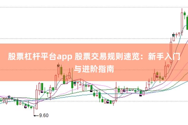 股票杠杆平台app 股票交易规则速览：新手入门与进阶指南