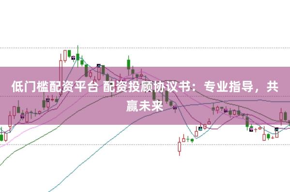 低门槛配资平台 配资投顾协议书：专业指导，共赢未来