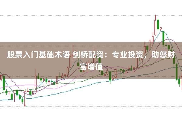 股票入门基础术语 剑桥配资：专业投资，助您财富增值