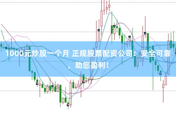 1000元炒股一个月 正规股票配资公司：安全可靠，助您盈利！