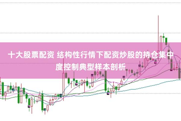 十大股票配资 结构性行情下配资炒股的持仓集中度控制典型样本剖析