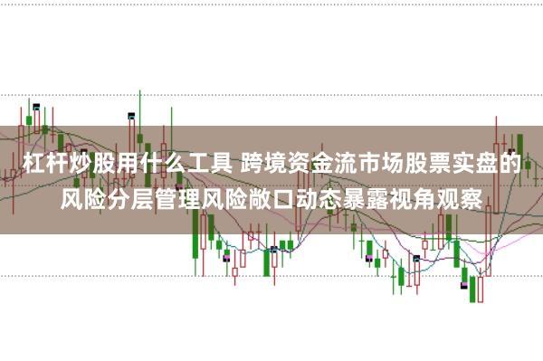 杠杆炒股用什么工具 跨境资金流市场股票实盘的风险分层管理风险敞口动态暴露视角观察