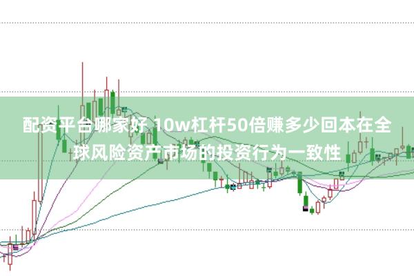 配资平台哪家好 10w杠杆50倍赚多少回本在全球风险资产市场的投资行为一致性