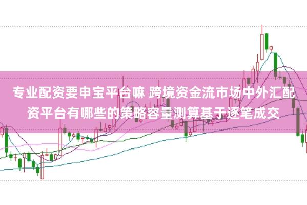专业配资要申宝平台嘛 跨境资金流市场中外汇配资平台有哪些的策略容量测算基于逐笔成交