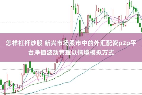 怎样杠杆炒股 新兴市场股市中的外汇配资p2p平台净值波动管理以情境模拟方式