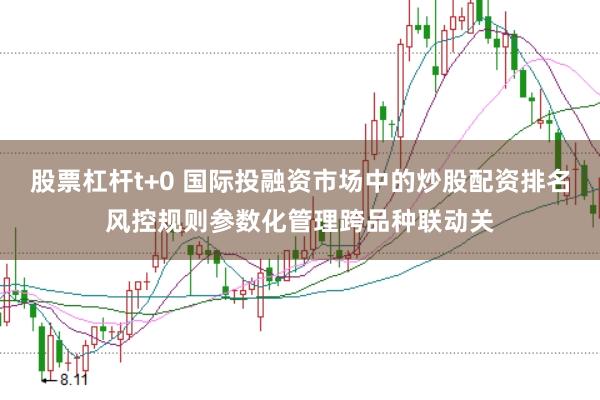 股票杠杆t+0 国际投融资市场中的炒股配资排名风控规则参数化管理跨品种联动关