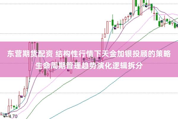 东营期货配资 结构性行情下天金加银投顾的策略生命周期管理趋势演化逻辑拆分