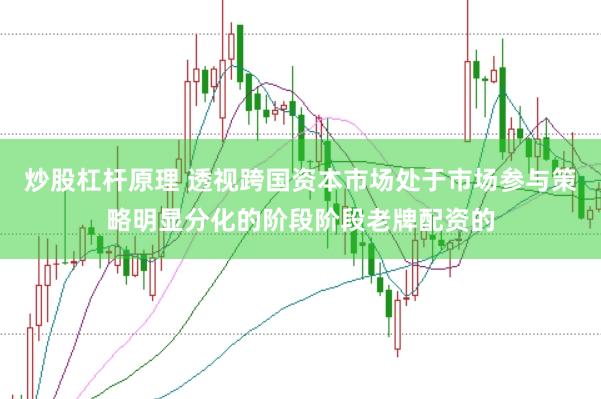 炒股杠杆原理 透视跨国资本市场处于市场参与策略明显分化的阶段阶段老牌配资的