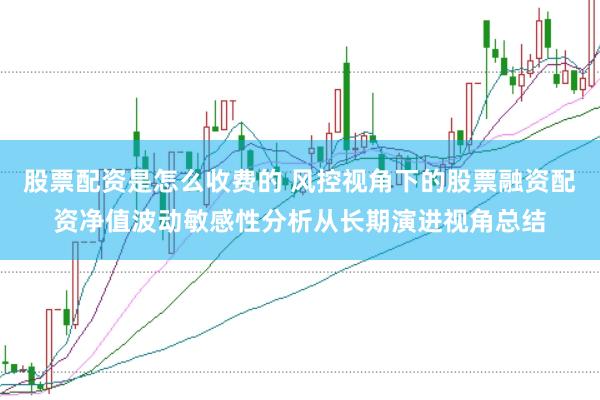 股票配资是怎么收费的 风控视角下的股票融资配资净值波动敏感性分析从长期演进视角总结