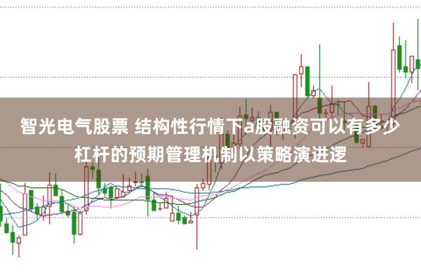 智光电气股票 结构性行情下a股融资可以有多少杠杆的预期管理机制以策略演进逻