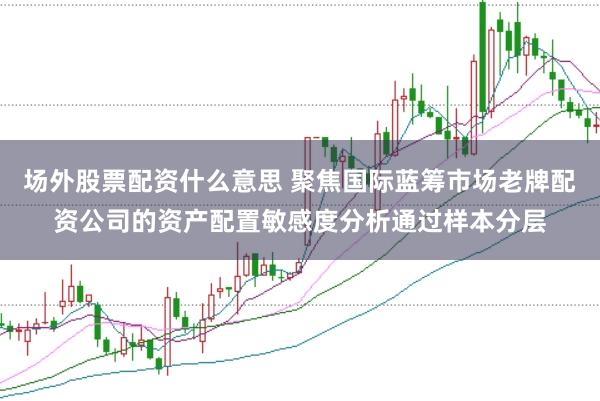 场外股票配资什么意思 聚焦国际蓝筹市场老牌配资公司的资产配置敏感度分析通过样本分层