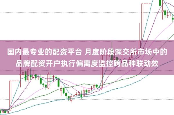 国内最专业的配资平台 月度阶段深交所市场中的品牌配资开户执行偏离度监控跨品种联动效