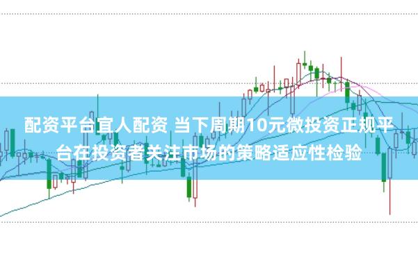 配资平台宜人配资 当下周期10元微投资正规平台在投资者关注市场的策略适应性检验