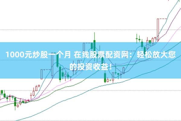 1000元炒股一个月 在线股票配资网：轻松放大您的投资收益！