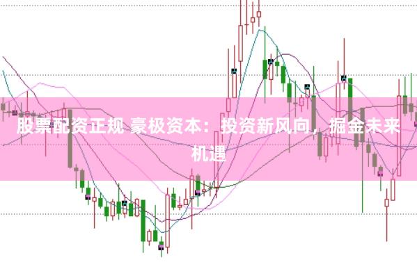 股票配资正规 豪极资本：投资新风向，掘金未来机遇