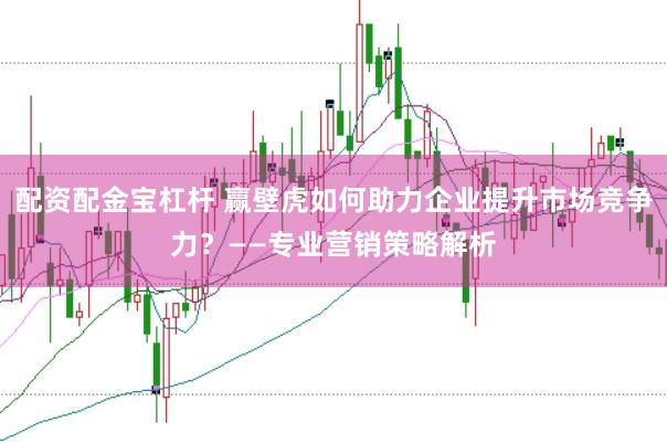 配资配金宝杠杆 赢壁虎如何助力企业提升市场竞争力？——专业营销策略解析