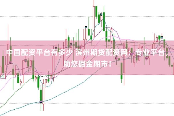 中国配资平台有多少 滨州期货配资网：专业平台，助您掘金期市！
