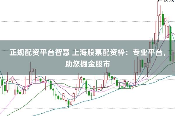 正规配资平台智慧 上海股票配资梓：专业平台，助您掘金股市