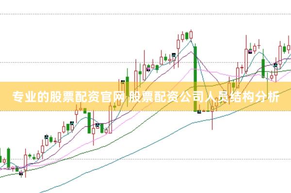 专业的股票配资官网 股票配资公司人员结构分析
