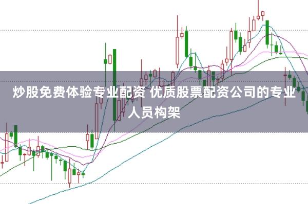 炒股免费体验专业配资 优质股票配资公司的专业人员构架