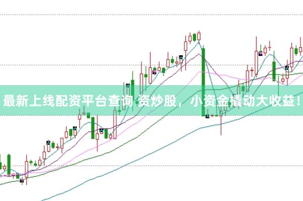 最新上线配资平台查询 资炒股，小资金撬动大收益！